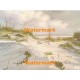 Sandy Seashore  - #XBSC1024  -  PRINT