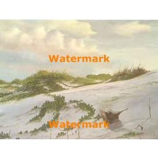 Sandy Seashore  - #XBSC1025  -  PRINT