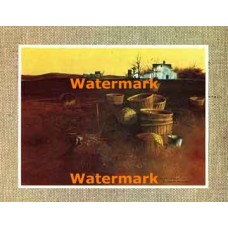 Late October  - #XBSC1113  -  PRINT