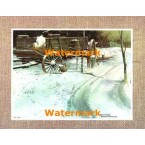 Winter Wind  - XBSC1118  -  PRINT