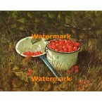 Pot of Cherries  - #XBSC1389  -  PRINT