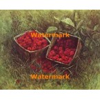 Basket of Raspberries  - XBSC1390  -  PRINT