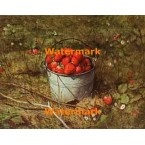 Pail of Strawberries  - #XBSC1391  -  PRINT