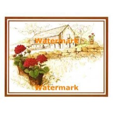 Potted Flowers by Fence  - #XBSC1523  -  PRINT