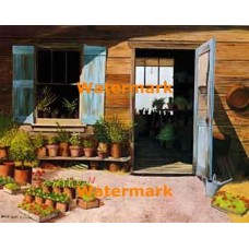 Garden Shop  - XBSC1552  -  PRINT