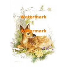 Deer  - XD10057  -  PRINT