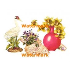 Flowers & Seashells  - XD10211  -  PRINT