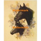 Horse Portrait III  - XD10642  -  PRINT