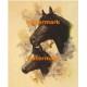 Horse Portrait III  - XD10642  -  PRINT