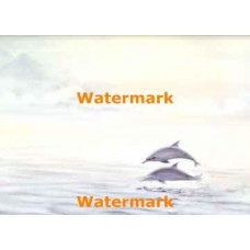Dolphin Jump  - XD10823  -  PRINT