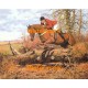 1.  Leading The Field  - #XD10895  -  PRINT