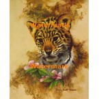 Jungle Cub  - XD10575  -  PRINT