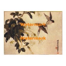 Birds  - XD10742  -  PRINT