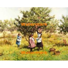 In The Orchard  - XD11144  -  PRINT