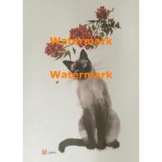 Cat  - XBCH197 -  PRINT