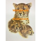 Animals  - #XS2259 -  PRINT