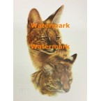 Animals  - #XS2260 -  PRINT