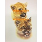 Animals  - #XS2789 -  PRINT