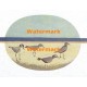 Birds on Shore  - XD11496  -  PRINT