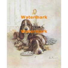 Basset Hound Puppies  - XD50767  -  PRINT