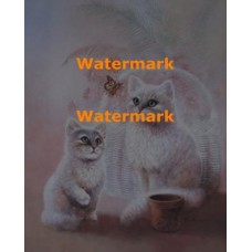 Kitten with Butterfly  - XD51141  -  PRINT