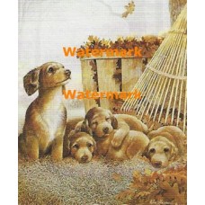 Autumn Playtime  - XD51389  -  PRINT