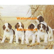 Belle's Pups  - XD51395  -  PRINT