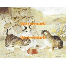 Crying Over Spilt Milk  - XD51419  -  PRINT