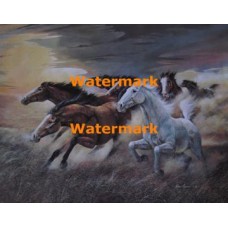 Horses  - #XD51811  -  PRINT