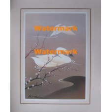 Swan In Flight  - #XAR467  -  PRINT