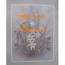 Daffodil & Warber  - XAR475  -  PRINT