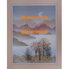 Awaiting Spring  - #XKVH2328  -  PRINT