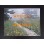 Misty Patch  - #XKVH2411  -  PRINT