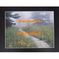 Misty Patch  - #XKVH2411  -  PRINT