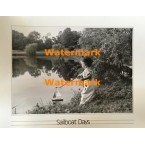 Sailboat  - #XKBWH3281  -  PRINT