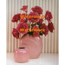 Fluted Roses  - XKH3279  -  PRINT