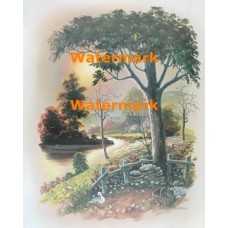 Duck Haven  - #XKH4651  -  PRINT