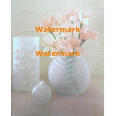 Peach Iris  - #XKH4901  -  PRINT