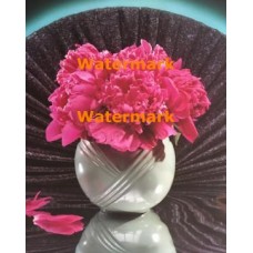 Grand Peony  - XKH5349  -  PRINT