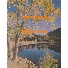 Nature's Reflection  - #XKLAM2114  -  PHOTO PRINT