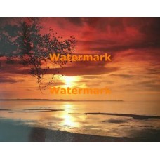 Sunlit Water  - #XKHLAM2124  -  PHOTO PRINT