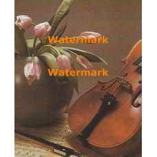Violin and Tulips  - #XKT2563  -  PRINT