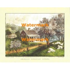American Homestead Spring  - XKVH1087  -  PRINT