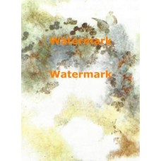 Company  - #XKVH1228  -  PRINT