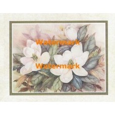 Magnolias  - #XKVH1913  -  PRINT