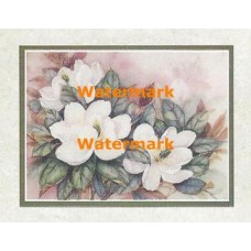 Magnolias  - #XKVH1914  -  PRINT