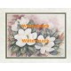 Magnolias  - #XKVH1914  -  PRINT