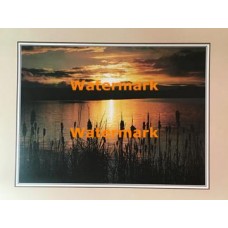 Lakeside Flora  - #XKVH2122  -  PRINT