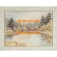 Evergreen Fence  - XKVH2654  -  PRINT