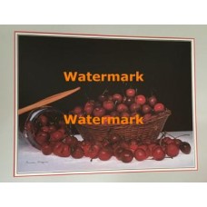 Cherries  - XKVH3407  -  PRINT